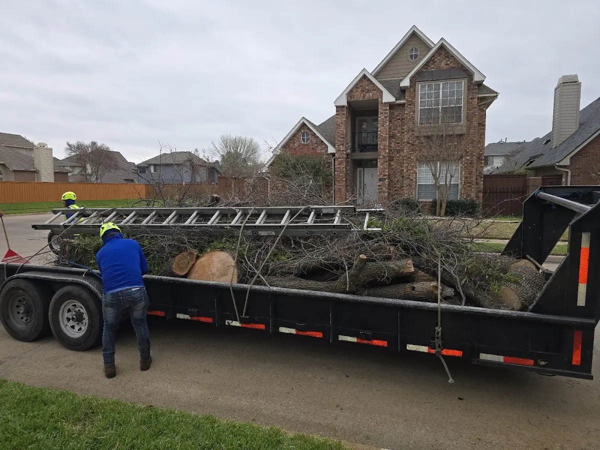 Expert Lot Clearing with proper safety equipment in Bedford